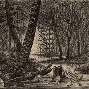 Artists reconstruction of a carboniferous forest during the time when coal deposits