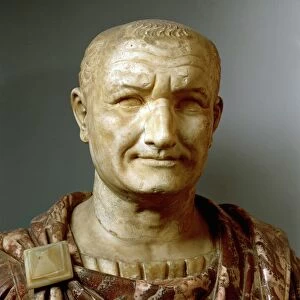 Bust of Emperor Vespasianus (Titus Flavius Vespasianus, 9 - 79 A. D. ), Flavian dynasty, imperial age, marble