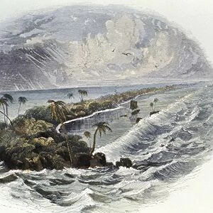 Coral Reef: hand coloured engraving published 1849