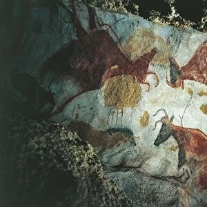France, Aquitaine, decorated Grottoes of the Vezere Valley, Lascaux Grotto, upper Paleolithic cave painting with hunting scene