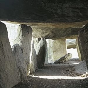 France, Brittany, Esse Department, La Roche-aux-Fees, Megalithic monument, Interior of dolmen