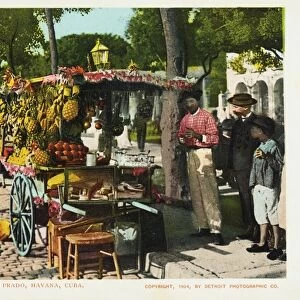 Fruit Stands on the Prado, Havana, Cuba Postcard. 1904, Fruit Stands on the Prado, Havana, Cuba Postcard