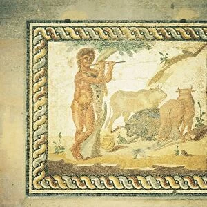Greece, Roman villa, mosaic depicting shepherd
