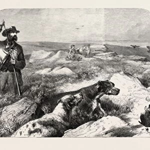Grouse Shooting, from a Drawing by Harrison Weir, 1860 Engraving