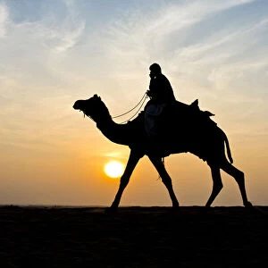 India, Rajasthan, Jaisalmer, camel ride desert