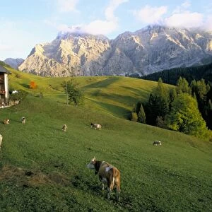 Italy. Alto Adige. Val Badia. Alpe di Fanes