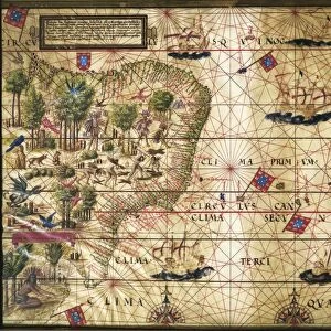 Map of Brazil, from Miller Atlas, by Pedro and Jorge Reinel, Lopo Homen, cartographers and Antonio de Holanda, miniaturist, 1519