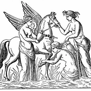 Nymphs attending the winged horse, Pegasus which Bellerophon in his fight against the Chimera