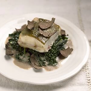 Pan-fried turbot with truffles and savoy cabbage, close-up