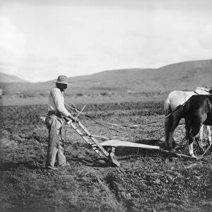 Sacaton Indian Reservation. Indian plowing his land. Salt River Project, 1930