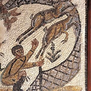 Tunisia, Utica, House of the Hunt, Mosaic depicting deer hunting using nets