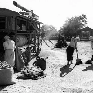 Women drying grain on a kolkhoz (collective farm) in the soviet union, 1930s
