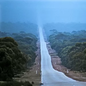Nullarbor Plain, Western Australia, Australia