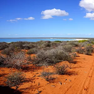 Shark Bay and outback scenery