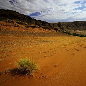 arid environment, day, horizontal, landscape, namibia, nature, no people, non-urban scene
