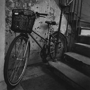 bastille, bicycle, black and white, courtyard, day, dilapidated, green living, healthy living