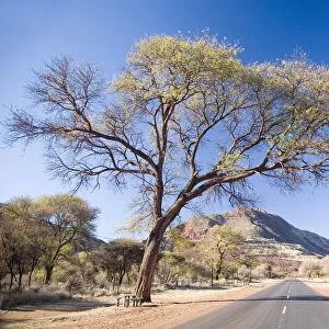 Color Image, Day, Generic Location, Horizontal, Iron, Landscape, Limpopo Province