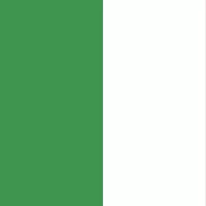 Flag of the Italy Illustration