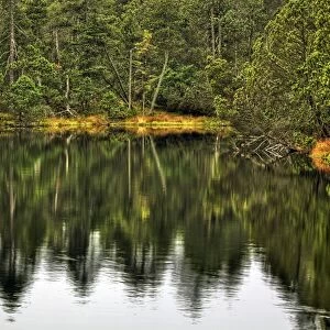 Great Moss Lake or Velke mechove jezirko, National Nature Reserve Rejviz, Jeseniky Protected Landscape Area, Jesenik district, Olomoucky region, Czech Republic