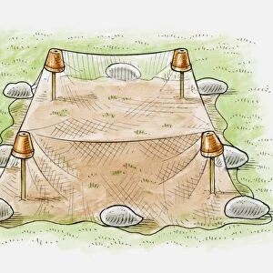 Illustration of hanging lightweight netting above newly sown grass to prevent birds from eating seed