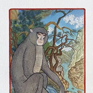 Illustration of Lonely Monkey, representing Chinese Year Of The Monkey