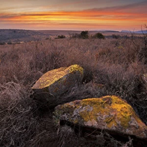 Landscape of Magaliesberg rocks covered with Lichen at sunset in the hills of the Magaliesberg mountain range, North West Province, South Africa