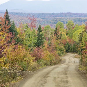 Logging road near East Kennebago Mountain, Reddington Township, Maine, USA