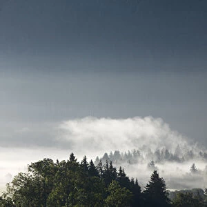 Morning mist over the forest, Gaissach, Isarwinkel, Upper Bavaria, Bavaria, Germany, Europe