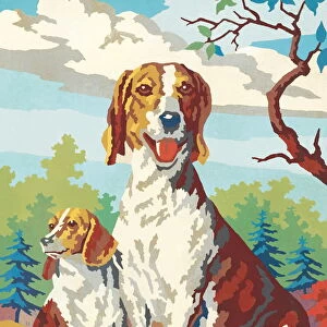 Paint-by-numbers dogs