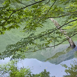 Pond of Ketoba, One of the Twelve Lakes in Shirakami-Sanchi