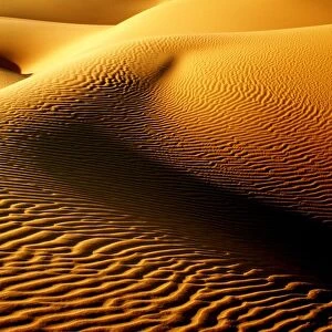 Shimmering Sahara, Libya