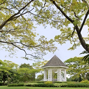 Singapore botanic gardens