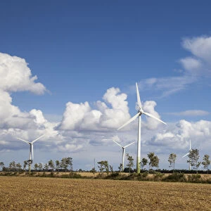 Wind turbines, Fehmarn island, Schleswig-Holstein, Germany