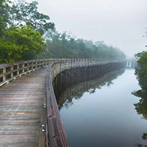 Wooden boardwalk at Robinson Preserve, Bradenton, Florida, USA