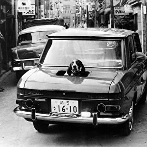 13 NOVEMBER 1964 Only the boot of this Tokyo car is convertible. This lucky pointer