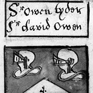 Arms of Owain Tudor Owen Tudor (1400-1461) Born: 1400, probably on Anglesey, Gwynedd Royal