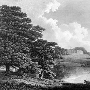 Dogmersfield House and Park, Hampshire - engraving after J. Landseer, early 19th