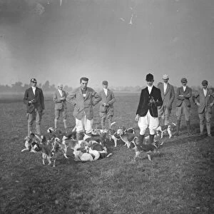 Eton beagles meet. The Eton College Beagles held their opening meet at the Pumping