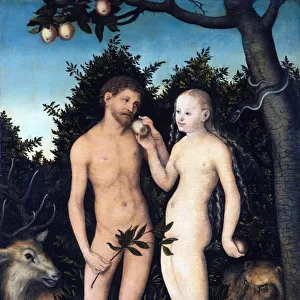 "Adam et Eve au paradis"Peinture de Lucas Cranach l ancien (1472-1553) 1531 Staatliche Museen, Berlin Allemagne ©DeAgostini / Leemage