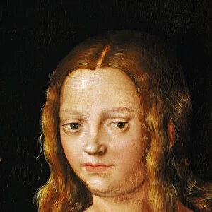 Adam and Eve, detail of Eves head (oil on panel) (detail of 159264)
