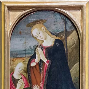 Adoration of the Christ with the young st John the Baptist, 1470-75 circa, (tempera on wood)