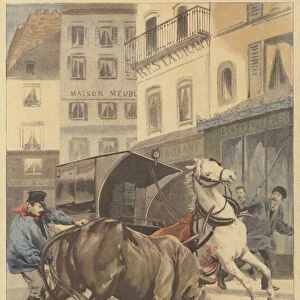 Agricultural show of 1895. An escaped bull (colour litho)