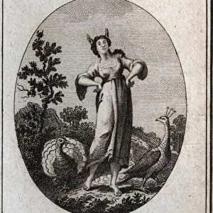 Allegory of arrogance. His donkey ears mark ignorance and his posture denotes his pride