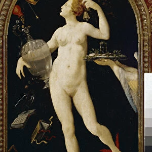 Allegory of Fortune (oil on wood, end 16th century)