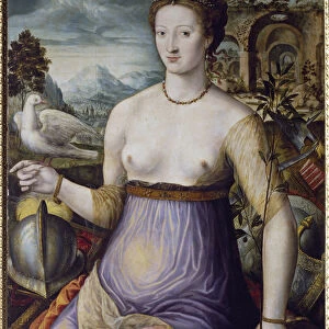 The Allegory of Peace, or Diane de Poitiers holding a dove Portrait of the Duchess of