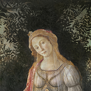 Allegory to Spring, detail of Venus, c. 1478 (tempera on wood)
