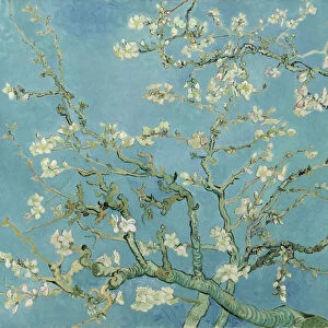 Almond Blossom, 1890 (oil on canvas)