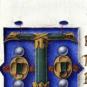 Alphabet: miniaturated letter T, 15th century manuscript