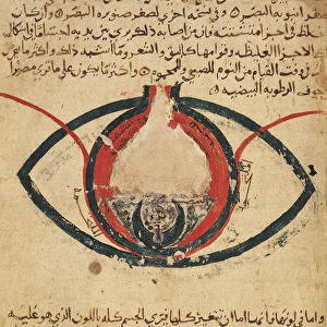 Anatomy of the Eye, from a book on eye diseases (vellum)