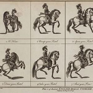 Ancient English Horse Exercise (engraving)